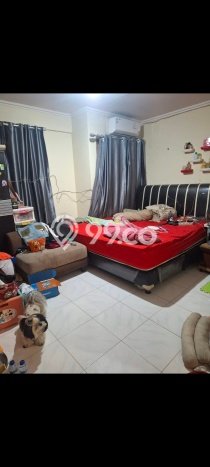 Hunian Nyaman Asri 3 KT Siap Pakai di Kalideres Jakarta Barat Hunian Nyaman Asri 3 KT Siap Pakai di Kalideres Jakarta Barat