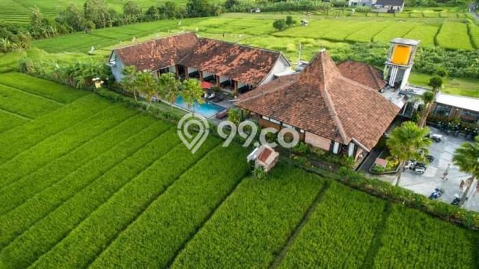 Rumah Elit LB 1000m2 Siap Pakai Desain Elegan di canggu, Badung Rumah Elit LB 1000m2 Siap Pakai Desain Elegan di canggu, Badung