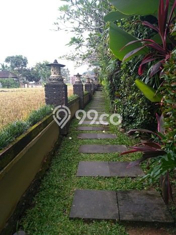 Hunian Eksklusif Siap Huni LT 8m2 di Ubud, Gianyar Hunian Eksklusif Siap Huni LT 8m2 di Ubud, Gianyar