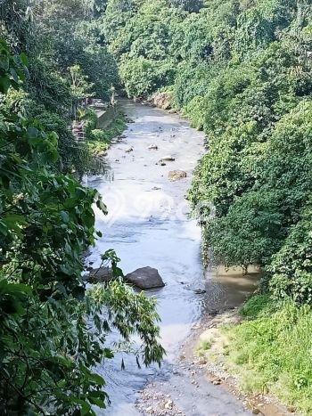 Lahan Strategis di Ubud Dijual dengan Luas 5900m2 Lahan Strategis di Ubud Dijual dengan Luas 5900m2