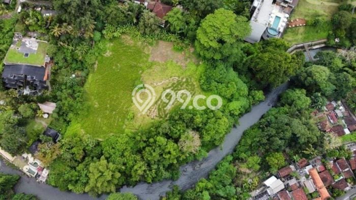 Lahan Strategis di Ubud Dijual dengan Luas 5900m2 Lahan Strategis di Ubud Dijual dengan Luas 5900m2