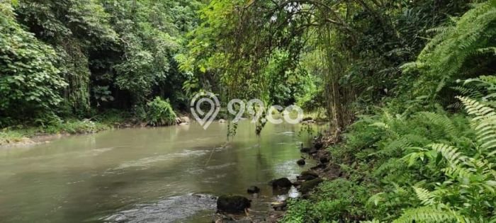 Lahan Strategis di Ubud Dijual dengan Luas 5900m2 Lahan Strategis di Ubud Dijual dengan Luas 5900m2