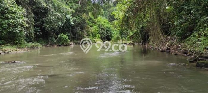 Lahan Strategis di Ubud Dijual dengan Luas 5900m2 Lahan Strategis di Ubud Dijual dengan Luas 5900m2