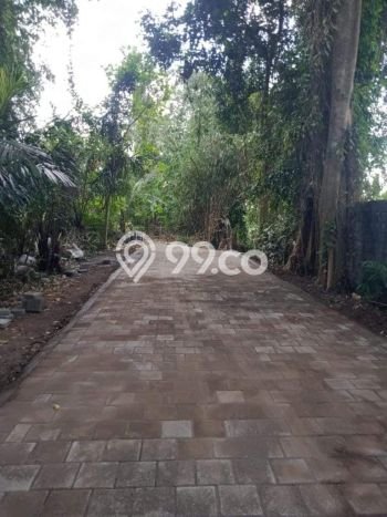 Lahan Strategis di Ubud Dijual dengan Luas 5900m2 Lahan Strategis di Ubud Dijual dengan Luas 5900m2