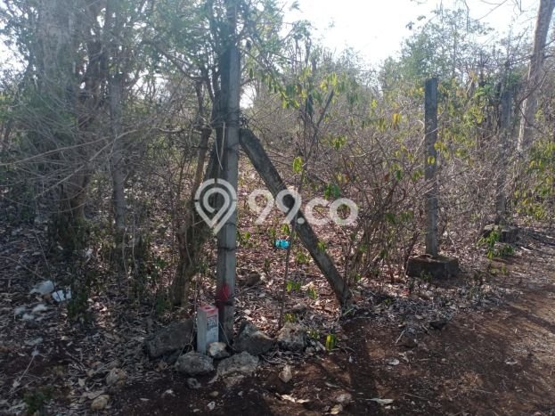 Dijual Tanah Lokasi Balangan, Badung Seluas 6675m2 Dijual Tanah Lokasi Balangan, Badung Seluas 6675m2