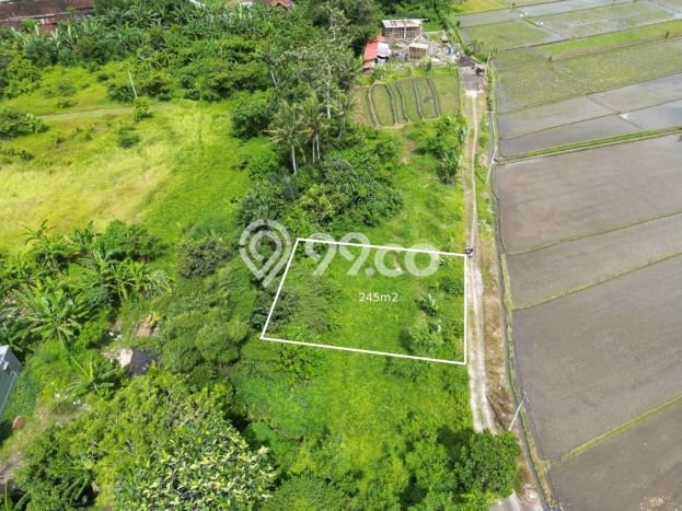Tanah Siap Bangun Dijual di Tabanan Punya Luas 245m2 Tanah Siap Bangun Dijual di Tabanan Punya Luas 245m2