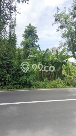 Tanah Dijual di Badung Seluas 1500m2 Strategis Tanah Dijual di Badung Seluas 1500m2 Strategis