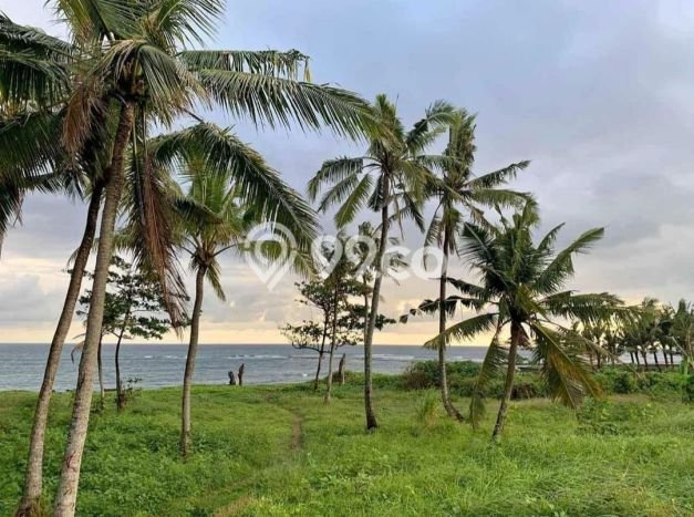 Dijual Tanah Lokasi Cemagi, Badung Seluas 8000m2 Dijual Tanah Lokasi Cemagi, Badung Seluas 8000m2