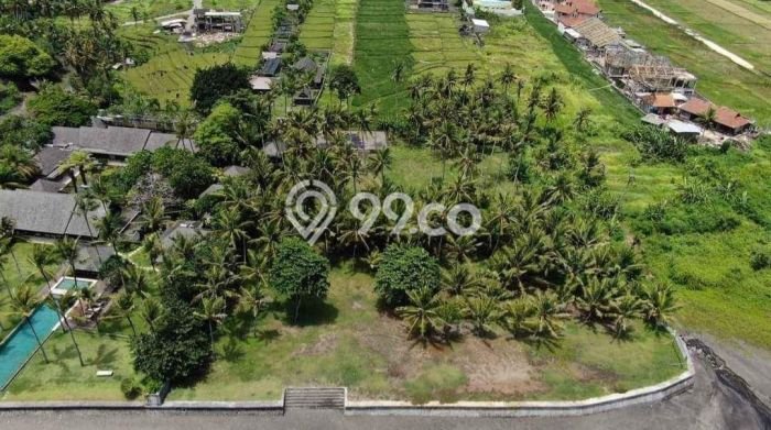 Dijual Tanah Lokasi Cemagi, Badung Seluas 8000m2 Dijual Tanah Lokasi Cemagi, Badung Seluas 8000m2