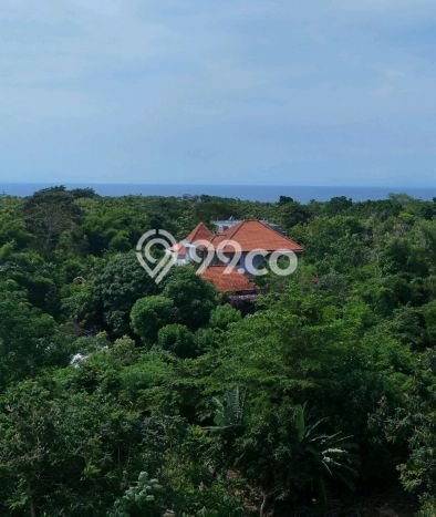 Lahan Dijual Lokasi Strategis di Badung dengan Luas 1000m2 Lahan Dijual Lokasi Strategis di Badung dengan Luas 1000m2