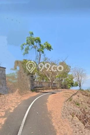 Tanah Dijual di Badung Seluas 5000m2 Strategis Tanah Dijual di Badung Seluas 5000m2 Strategis