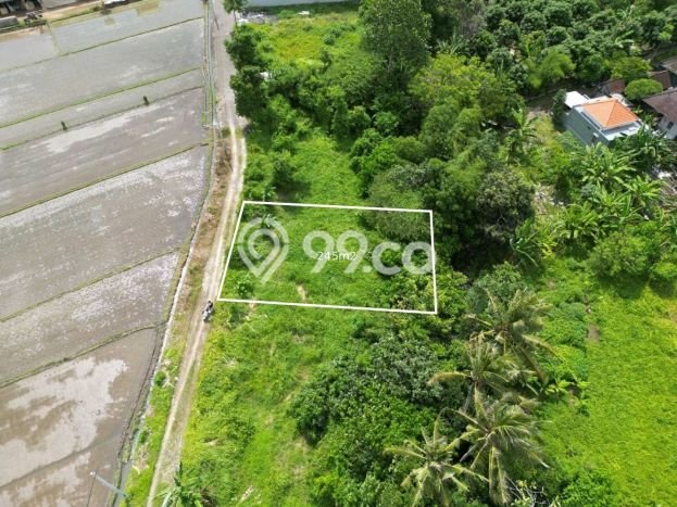 Tanah Siap Bangun Dijual di Tabanan Punya Luas 245m2 Tanah Siap Bangun Dijual di Tabanan Punya Luas 245m2