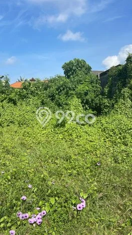 Tanah Kavling untuk Dijual di Kuta Badung 1290m2 Tanah Kavling untuk Dijual di Kuta Badung 1290m2