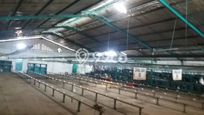 Gudang Area Komersial Kawasan , Luas 1000m2m², Jalan Raya Gudang Area Komersial Kawasan , Luas 1000m2m², Jalan Raya