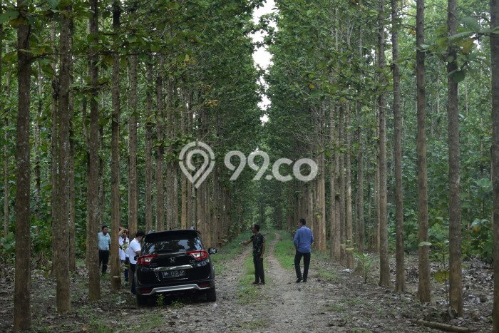 Tanah Komersial Dijual di Natar Lampung Selatan 769150m2 Tanah Komersial Dijual di Natar Lampung Selatan 769150m2