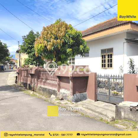 Dijual Rumah 4 Kamar Lokasi Ideal Bagus dan Strategis di Kedaton Dijual Rumah 4 Kamar Lokasi Ideal Bagus dan Strategis di Kedaton