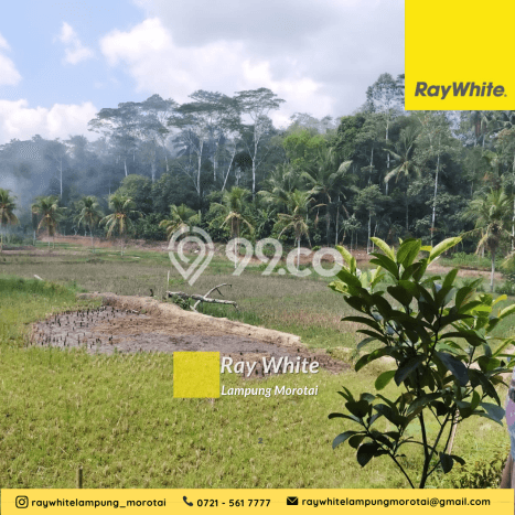 Dijual Hunian Rumah Nyaman 4 KT di Pringsewu, Tanggamus Dijual Hunian Rumah Nyaman 4 KT di Pringsewu, Tanggamus