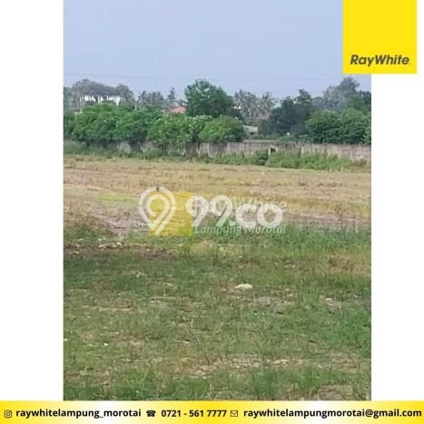 HARGA TERBAIK! Tanah di Sukarame, Luas 1000m², Dekat Jalan Utama, Area Berkembang HARGA TERBAIK! Tanah di Sukarame, Luas 1000m², Dekat Jalan Utama, Area Berkembang
