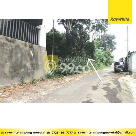 Lahan Dijual Lokasi Tanjung Karang Pusat, Bandar Lampung dengan Luas Tanah 5065m2 dan Status SHM Lahan Dijual Lokasi Tanjung Karang Pusat, Bandar Lampung dengan Luas Tanah 5065m2 dan Status SHM
