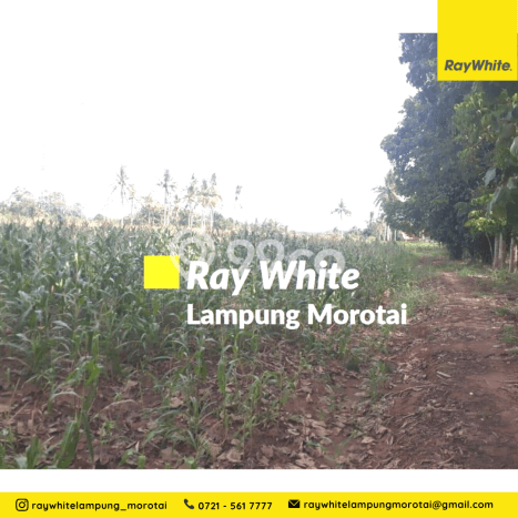 Tanah Kawasan Tanjung Bintang, Luas 52574m², Area Potensial, Dekat Tanjung Bintang, Lampung Selatan, Lampung Selatan Tanah Kawasan Tanjung Bintang, Luas 52574m², Area Potensial, Dekat Tanjung Bintang, Lampung Selatan, Lampung Selatan