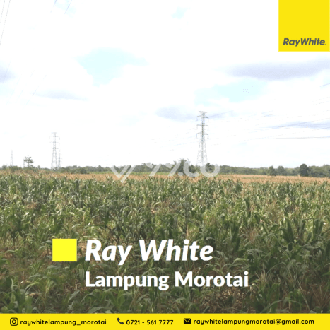 Tanah Kawasan Tanjung Bintang, Luas 52574m², Area Potensial, Dekat Tanjung Bintang, Lampung Selatan, Lampung Selatan Tanah Kawasan Tanjung Bintang, Luas 52574m², Area Potensial, Dekat Tanjung Bintang, Lampung Selatan, Lampung Selatan