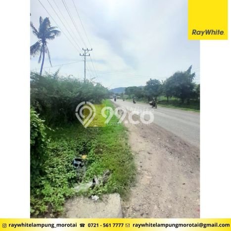 Kavling Tanah Dijual di Tanjung Bintang, Lampung Selatan, Luas 169000m2 Area Strategis Kavling Tanah Dijual di Tanjung Bintang, Lampung Selatan, Luas 169000m2 Area Strategis