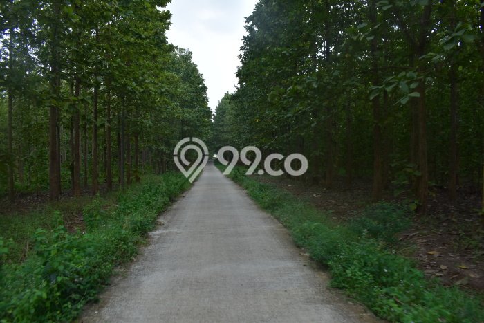 Tanah Komersial Dijual di Natar Lampung Selatan 769150m2 Tanah Komersial Dijual di Natar Lampung Selatan 769150m2