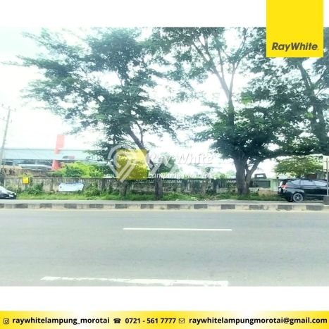 Dijual Tanah di Natar Lampung Selatan Luas 31054m2 - Dijual Tanah di Natar Lampung Selatan Luas 31054m2 -