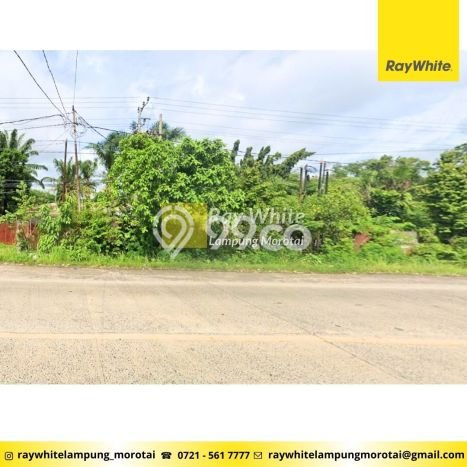Lahan untuk Dijual Lokasi Terbanggi Besar, Lampung Tengah Luas 56000m2 - Lahan untuk Dijual Lokasi Terbanggi Besar, Lampung Tengah Luas 56000m2 -