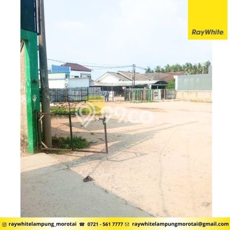 Tanah Dijual Lokasi Kedaton, Bandar Lampung dengan Luas Tanah 1915m2 dan Status SHM Tanah Dijual Lokasi Kedaton, Bandar Lampung dengan Luas Tanah 1915m2 dan Status SHM