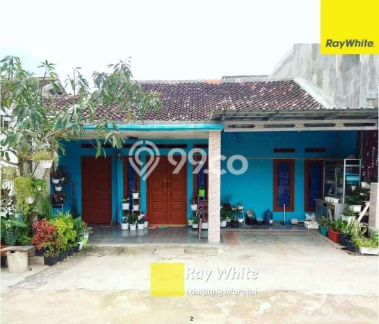 Rumah Minimalis Dijual Lokasi Natar 3 Kamar dengan LT 148m2 Rumah Minimalis Dijual Lokasi Natar 3 Kamar dengan LT 148m2
