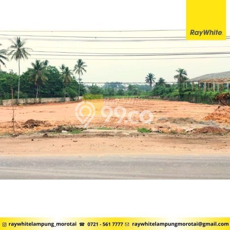 Kavling Tanah Dijual di Labuhan Ratu Lampung Timur Spesifikasi 57000m2 Kavling Tanah Dijual di Labuhan Ratu Lampung Timur Spesifikasi 57000m2