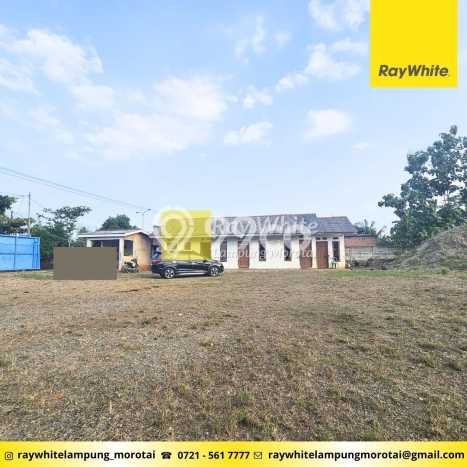 Tanah di Natar, Lampung Selatan Luas 11280m2 Dijual Segera Tanah di Natar, Lampung Selatan Luas 11280m2 Dijual Segera