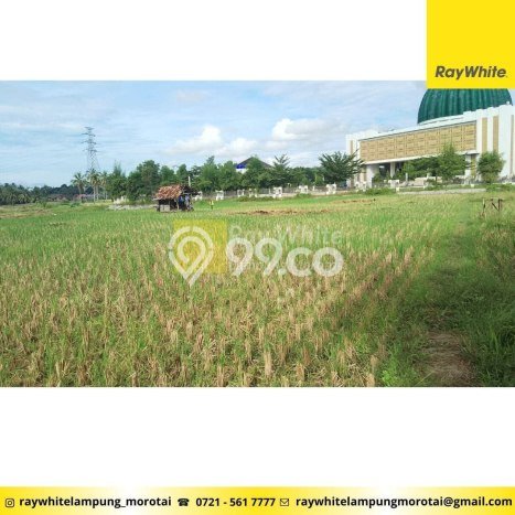 LOKASI STRATEGIS! Tanah di Pringsewu, Luas 2447m², Akses Mudah LOKASI STRATEGIS! Tanah di Pringsewu, Luas 2447m², Akses Mudah