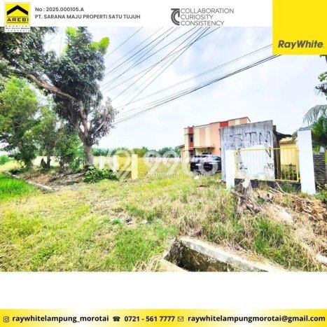 Kavling Tanah Dijual di Kalianda Lampung Selatan Spesifikasi 5330m2 Kavling Tanah Dijual di Kalianda Lampung Selatan Spesifikasi 5330m2