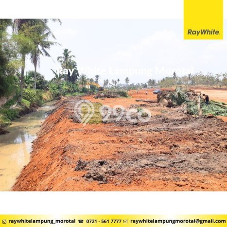 Kavling Tanah Dijual di Labuhan Ratu Lampung Timur Spesifikasi 57000m2 Kavling Tanah Dijual di Labuhan Ratu Lampung Timur Spesifikasi 57000m2