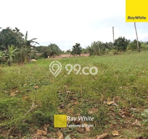 HARGA TERBAIK! Tanah di Jati Agung, Luas 2800m2m², Dekat Jalan Utama, Cocok untuk Hunian HARGA TERBAIK! Tanah di Jati Agung, Luas 2800m2m², Dekat Jalan Utama, Cocok untuk Hunian