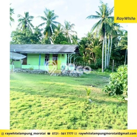 Tanah Kavling Dijual di Gedong Tataan, Pesawaran dengan Luas Tanah 9400m2 Tanah Kavling Dijual di Gedong Tataan, Pesawaran dengan Luas Tanah 9400m2