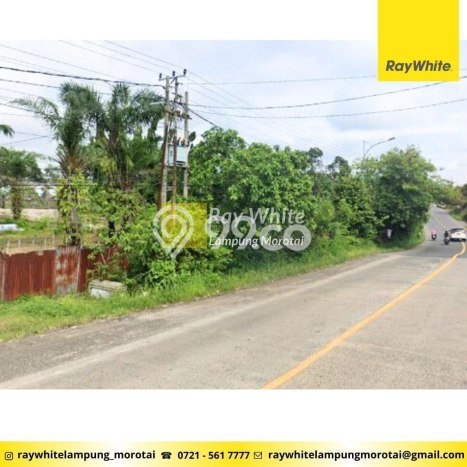 Kavling Tanah Dijual di Terbanggi Besar Lampung Tengah Spesifikasi 56000m2 Kavling Tanah Dijual di Terbanggi Besar Lampung Tengah Spesifikasi 56000m2