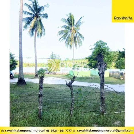 Tanah Kavling Dijual di Gedong Tataan, Pesawaran dengan Luas Tanah 9400m2 Tanah Kavling Dijual di Gedong Tataan, Pesawaran dengan Luas Tanah 9400m2