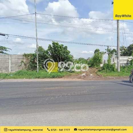 Kavling Tanah di Gunung Sugih Dijual Luas 250000m2 Legalitas SHM Kavling Tanah di Gunung Sugih Dijual Luas 250000m2 Legalitas SHM