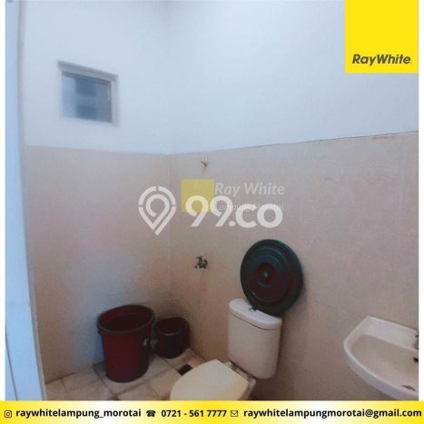 Gudang Dijual Lokasi Stratagis di Kedaton Bandar Lampung Cocok untuk Investasi Gudang Dijual Lokasi Stratagis di Kedaton Bandar Lampung Cocok untuk Investasi