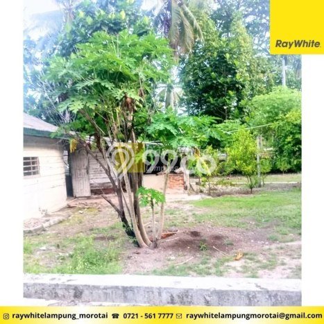 Tanah Dijual di Pesawaran Seluas 4590m2 Strategis Tanah Dijual di Pesawaran Seluas 4590m2 Strategis