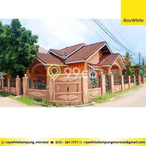 Rumah Modern Minimalis 4 Kamar Bisa Langsung Pindah di Teluk Betung Utara Rumah Modern Minimalis 4 Kamar Bisa Langsung Pindah di Teluk Betung Utara