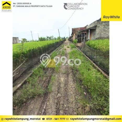 INVESTASI POTENSIAL! Pabrik Kawasan Rawajitu Selatan, Luas 0m2m², Potensi ROI Tinggi INVESTASI POTENSIAL! Pabrik Kawasan Rawajitu Selatan, Luas 0m2m², Potensi ROI Tinggi