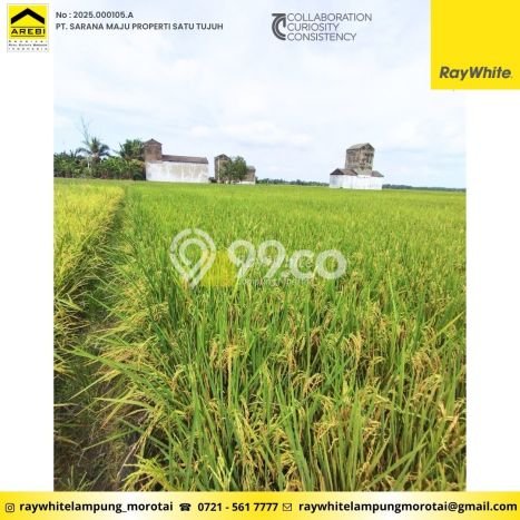INVESTASI POTENSIAL! Pabrik Kawasan Rawajitu Selatan, Luas 0m2m², Potensi ROI Tinggi INVESTASI POTENSIAL! Pabrik Kawasan Rawajitu Selatan, Luas 0m2m², Potensi ROI Tinggi