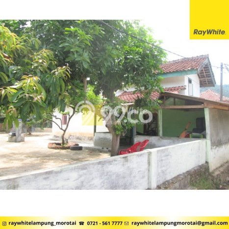 Lahan Investasi Lokasi Padang Cermin Pesawaran SHM Lahan Investasi Lokasi Padang Cermin Pesawaran SHM