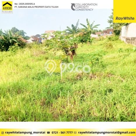 Tanah Kavling untuk Dijual di Kedaton Bandar Lampung 4980m2 Tanah Kavling untuk Dijual di Kedaton Bandar Lampung 4980m2