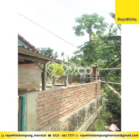 Lahan Investasi Lokasi Padang Cermin Pesawaran SHM Lahan Investasi Lokasi Padang Cermin Pesawaran SHM