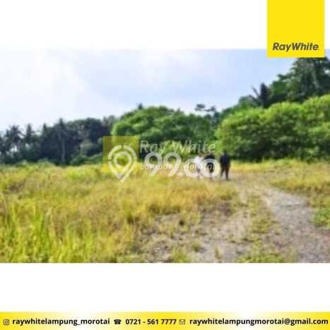 Unit Pabrik Strategis di Katibung, Lampung Selatan Potensi Bisnis Besar Unit Pabrik Strategis di Katibung, Lampung Selatan Potensi Bisnis Besar